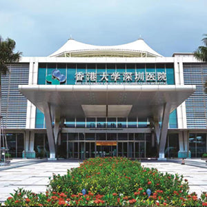 The University of Hong Kong-Shenzhen Hospital - Overview